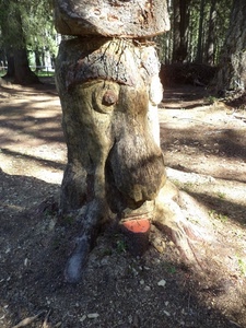 tronco, bosco, alberi, scultura, albero, radici, legno, ombre, occhi, lingua, intaglio, sentiero, intagliato, naso, verde, bocca