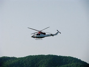 elicottero, verde, pale, alberi, volare, cielo, collina, bosco, bianco, montagna, rosso, volo, azzurro, rotore