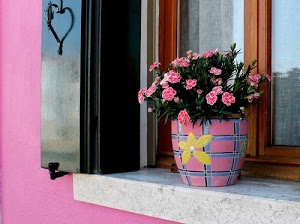 fiori, finestra, vaso, rosa, davanzale, tende, cuore, garofani, giallo, imposte, vetri, maniglia, verde, foglie, azzurro, persiane, marmo, legno
