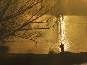pescatore, albero, controluce, tramonto, fiume, oro, mare, acqua, canna, pescare, alba, rami, alberi, riflesso
