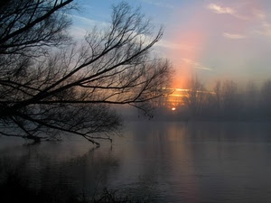 tramonto, sole, rami, acqua, alba, albero, alberi, fiume, nebbia, lago, cielo