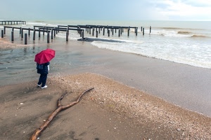 ombrello, mare, rosso, spiaggia, sabbia, ramo
