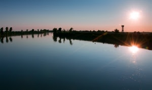 acqua, sole, riflesso, fiume, tramonto, controluce, cielo, riflessi, alberi