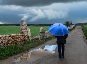 ombrello, pozzanghera, azzurro, nuvole, pioggia, strada, verde, muro
