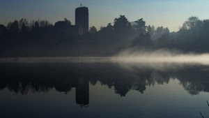acqua, riflesso, alberi, fiume, nebbia, torre, lago, controluce, foschia