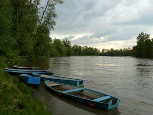 barche, fiume, alberi, nuvole, acqua, azzurro, verde, cielo, piante