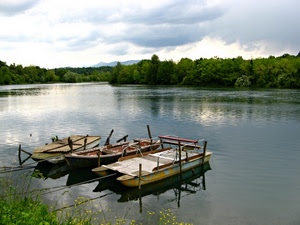 barche, alberi, fiume, acqua, lago, riflessi, tre, verde, riflesso