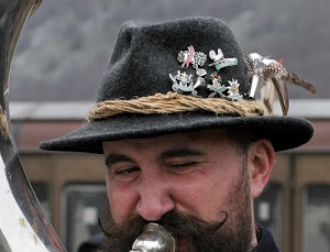 cappello, baffi, feltro, musicista, naso, uomo, strumento, suonatore, grigio, occhi, spille, corda, piume, orecchio, ritratto, barba, sfocato, suonare, stemmi