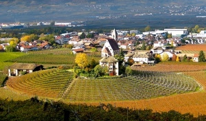 chiesa, panorama, campagna, vigneto, paese, campanile, paesaggio, case, alberi, autunno, cerchi