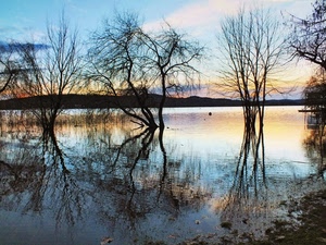 alberi, acqua, lago, rami, riflessi, tramonto, cielo, riflesso, azzurro, montagne, nuvole, spogli