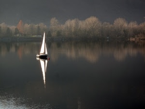 vela, lago, barca, acqua, riflesso, alberi, bianco, riflessi