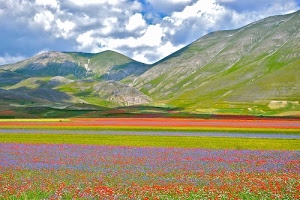 verde, nuvole, rosso, fiori, cielo, colori, montagne, giallo, fioritura, viola, azzurro, colline, campi, montagna, prato, castelluccio, piana, campo, panorama, paesaggio