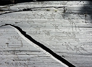graffiti, bianconero, pietra, roccia, incisioni, disegni, grigio, incisione, rupestri, graffito, spaccatura, preistoria, murale, cavallo
