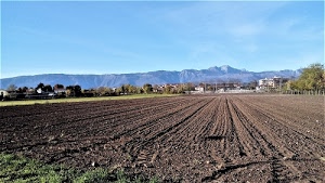 case, terra, alberi, montagne, solchi, verde, campagna, erba, arato, cielo, campo, agricoltura, marrone, prato, linee, aratura, azzurro, colline, panorama, zolle, terreno