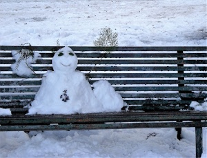 panchina, neve, pupazzo, inverno, bianco, occhi, bocca, invernale, ferro, ramo, freddo, rami