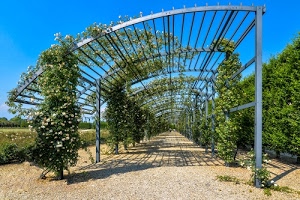 verde, piante, fiori, pergolato, siepe, rose, metallo, azzurro, cielo, rampicanti, ombre, ghiaia, alberi, struttura, pali, giardino, prospettiva, ferro, pergola, arco, persone