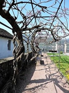 pergolato, panchine, fiori, casa, verde, ombre, rami, erba, piante, tronchi, muretto, cancello, glicine, lago, alberi, colonne, persone, prato, acqua, aiuola, contorti, ombra