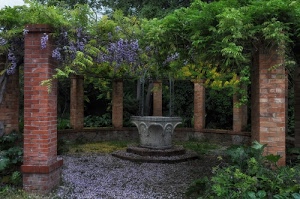 pozzo, fiori, glicine, piante, verde, mattoni, colonne, giardino, pergolato, pianta, viola, pilastri, foglie, rampicante