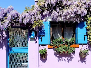 finestra, glicine, fiori, cancello, azzurro, vasi, piante, casa, viola, primavera, verde, persiane, cassetta, foglie, porta, posta, cielo, lilla, cestini