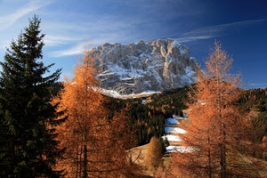 montagna, alberi, neve, cielo, autunno, larici, cima, panorama, abeti