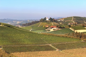 colline, case, alberi, verde, panorama, paesaggio, vigne, campi, vigneti, casali, filari