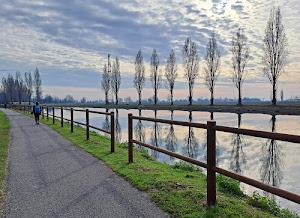 alberi, strada, canale, acqua, fiume, nuvole, erba, verde, staccionata, riflessi, cielo, persona, riflesso, pioppi, camminare, spogli, steccato
