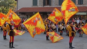 bandiere, sbandieratori, tamburi, giallo, rosso, colori, costumi, finestre, persone, alberi, tettoia, tetto, strada, corteo, manifestazione, divise, sfilata, spettatori