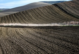 terra, colline, campi, collina, campo, dune, grigio, campagna, arato, panorama, solchi, aratura