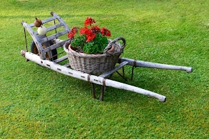 prato, fiori, legno, erba, ruota, carriola, verde, rosso, cesta, gerani, cesto, fioriera, pianta, vaso, foglie, vimini