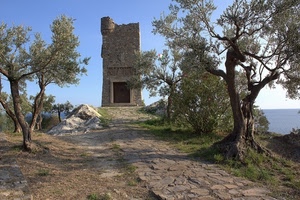 torre, mare, sentiero, ulivi, olivi, alberi, piante, selciato