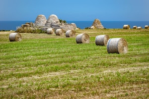 mare, campo, erba, cielo, verde, fieno, azzurro, balle, agricoltura, campagna, prato, pietre, ruderi, rotoballe, trulli