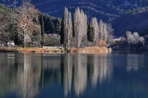 alberi, acqua, lago, montagna, riflessi, riflesso, paesaggio, montagne, verde, rami, bosco