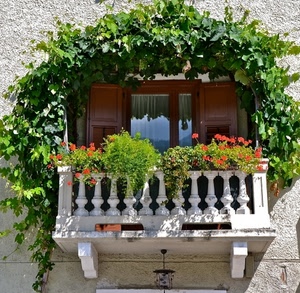 balcone, fiori, finestra, verde, edera, colonne, pianta