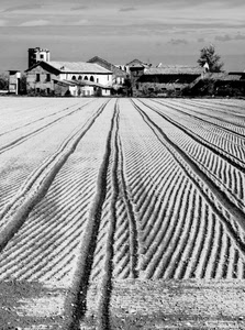 neve, campagna, solchi, bianconero, campi, prospettiva, cascina, campo, arato, inverno, casa