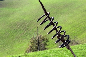 spirale, molla, prato, verde, albero, ferro, erba, collina, campagna, dettaglio, rami, alberi