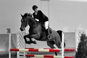 cavallo, ostacoli, salto, fantino, ostacolo, sport, rosso, amazzone, cavaliere, bianco