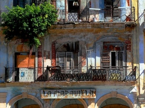 finestre, insegna, verde, balconi, pianta, casa, archi, albero, ringhiere, ringhiera, persiane, balcone, cartello, palazzo, foglie, arancione, rudere