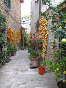 vicolo, limoni, vasi, pannocchie, piante, strada, lampione, fiori