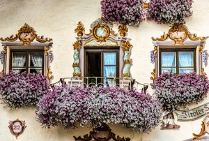 fiori, finestre, balcone, decori, tende, ringhiera, bianco, vetri, numero, oro, viola, liberty, disegni, tre, numeri, murales, scritte