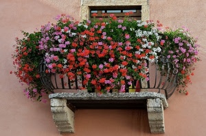 fiori, balcone, gerani, ringhiera, finestra, pietra, colori, rosa, multicolore, piante