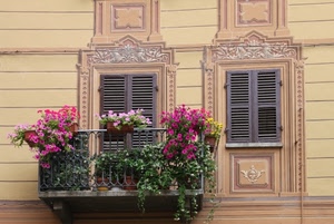 balcone, fiori, finestra, finestre, persiane, vasi, piante, ringhiera, due