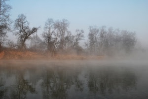 nebbia, alberi, acqua, fiume, cielo, riflesso, riflessi, inverno, nuvole, lago, rami