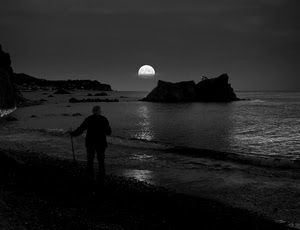 mare, luna, scogli, bianconero, uomo, persona, acqua, spiaggia, riflesso, notturno