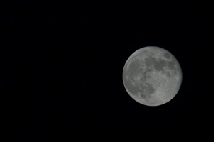 luna, nero, notte, crateri, sfera, cielo, bianconero, pianeta, cerchio, bianco