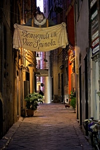 vicolo, piante, insegna, strada, vasi, case, notturno