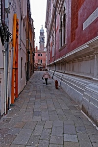 vicolo, campanile, cane, scala, lastrico, palazzi, selciato, persona