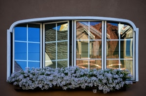 fiori, finestra, riflesso, vetri, vetrata, vetrate, riflessi, muro, piante, bianco