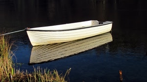 barca, riflesso, bianco, acqua, corda, lago, erba, cima, riflessi, piante, nero, bianca, ormeggio, blu
