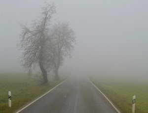 nebbia, strada, alberi, prato, verde, albero, asfalto, paletti, paracarri
