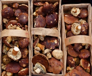 funghi, marrone, cibo, cestini, cassette, legno, ceste, porcini, esposizione, manici, vendita